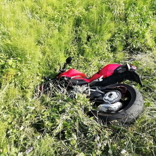 Scontro tra moto e capriolo a Murazzano: il conducente trasportato in ospedale