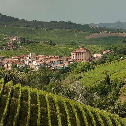 Langhe, Roero e Monferrato nel decennale del riconoscimento UNESCO tra bilanci e prospettive future