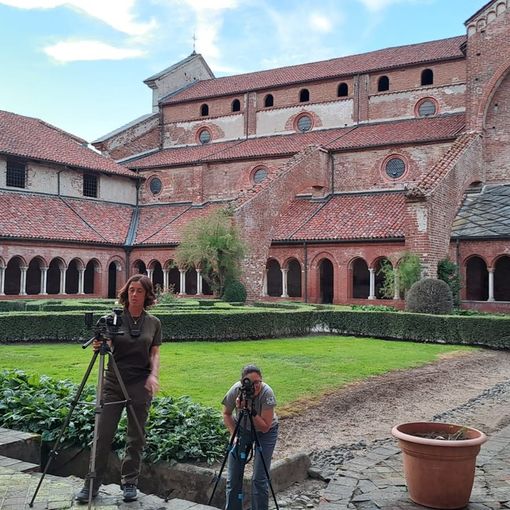 In corso il monitoraggio annuale della colonia dei pipistrelli all'Abbazia di Staffarda