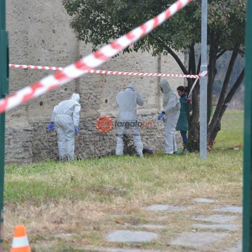 Foto di Nicolò Bertola