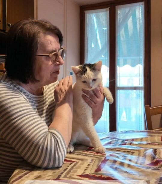 Fermo immagine dal video di Amici dei mici Odv