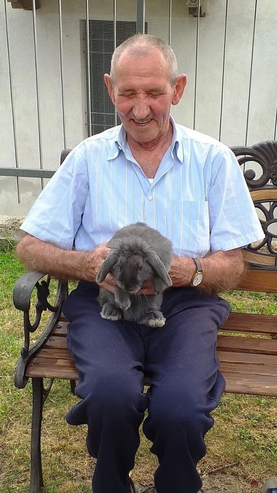 Pesci rossi, galline nane e un coniglietto grigio: la fattoria degli animali della casa di riposo "San Camillo De’ Lellis” di Dronero