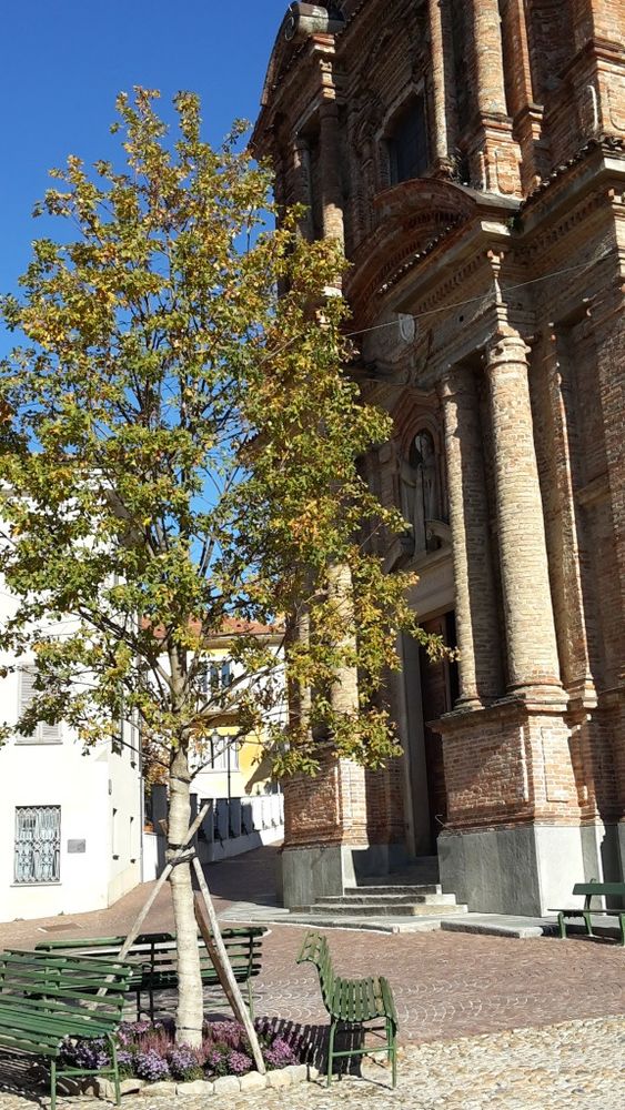 Festa di San Martino a La Morra