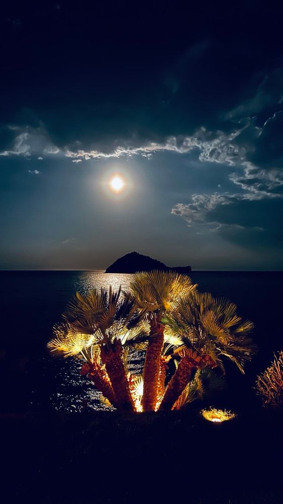 Il 28-29-30 aprile, Le Vele Alassio con "On the Wave" vi aspettano per il loro primo evento che anticipa la stagione estiva 2023