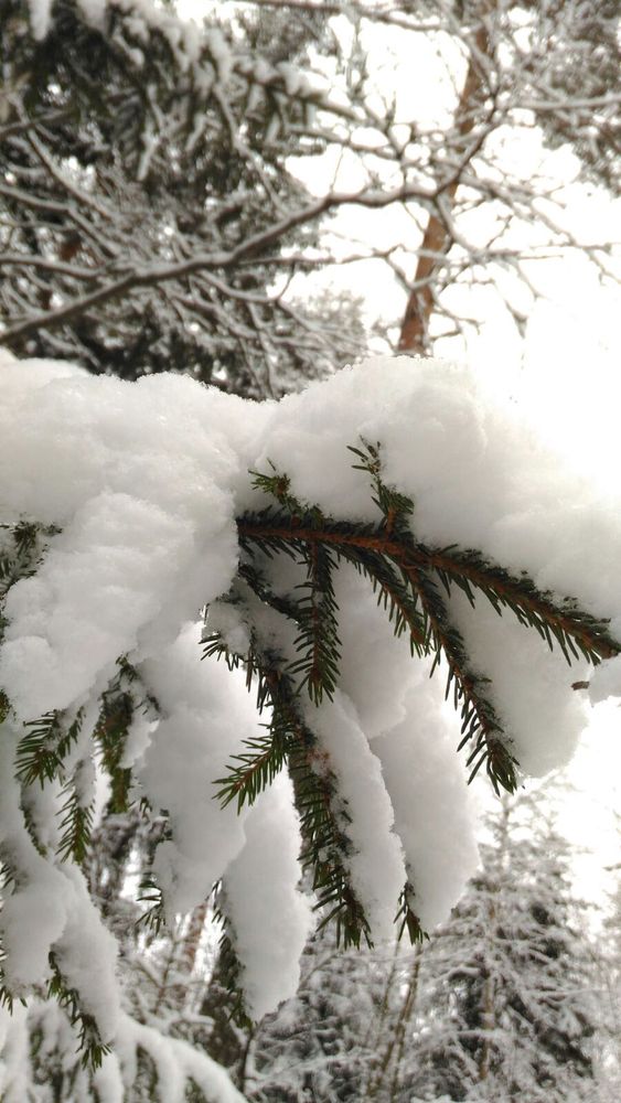 Foto di Matilde Demaria Foto di Matilde Demaria