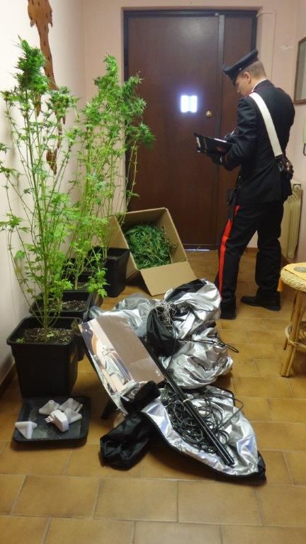 Un chilo di marijuana, cinque piante e una serrra scoperti nelle Langhe: nei guai operaio di 20 anni