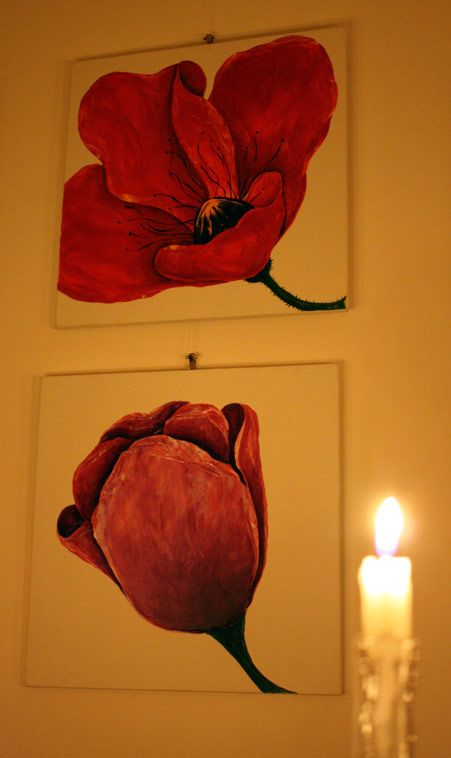 Anche Bra, venerdì 17 febbraio, si “illumina di meno”