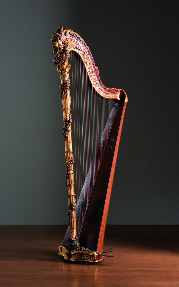 Un'arpa nella foto di Pino dell'Aquila Un'arpa nella foto di Pino dell'Aquila