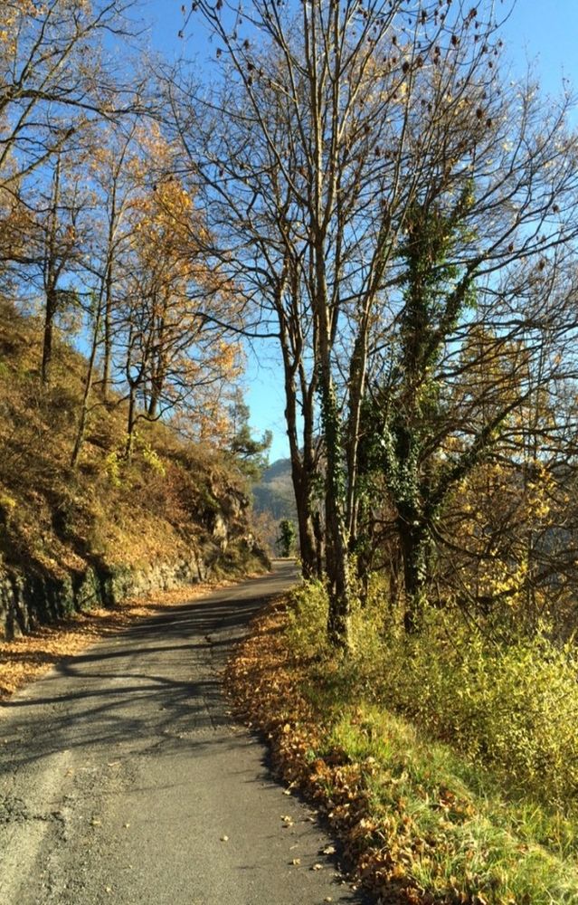 Busca: 28mila euro dei fondi Bim Val Maira alle strade collinari Busca: 28mila euro dei fondi Bim Val Maira alle strade collinari