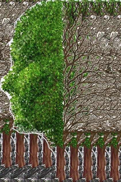 Un "Magico Sogno" alla scuola musicale di Saluzzo