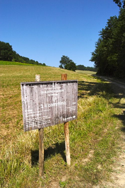 Camerana, la natura le idee