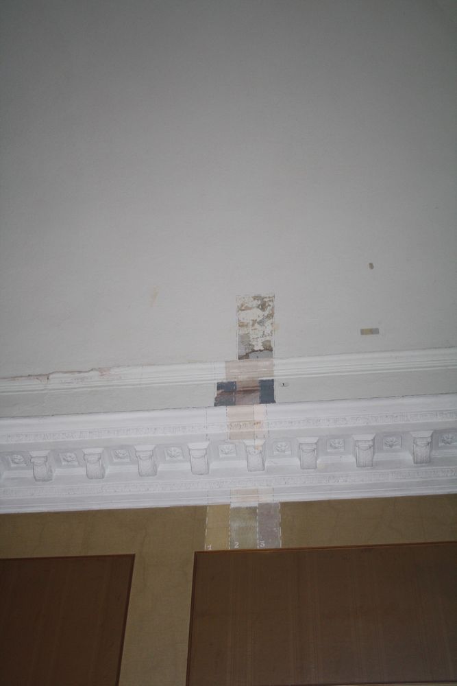 I dipinti sulla volta, rinvenuti a Racconigi, nella sala consiliare