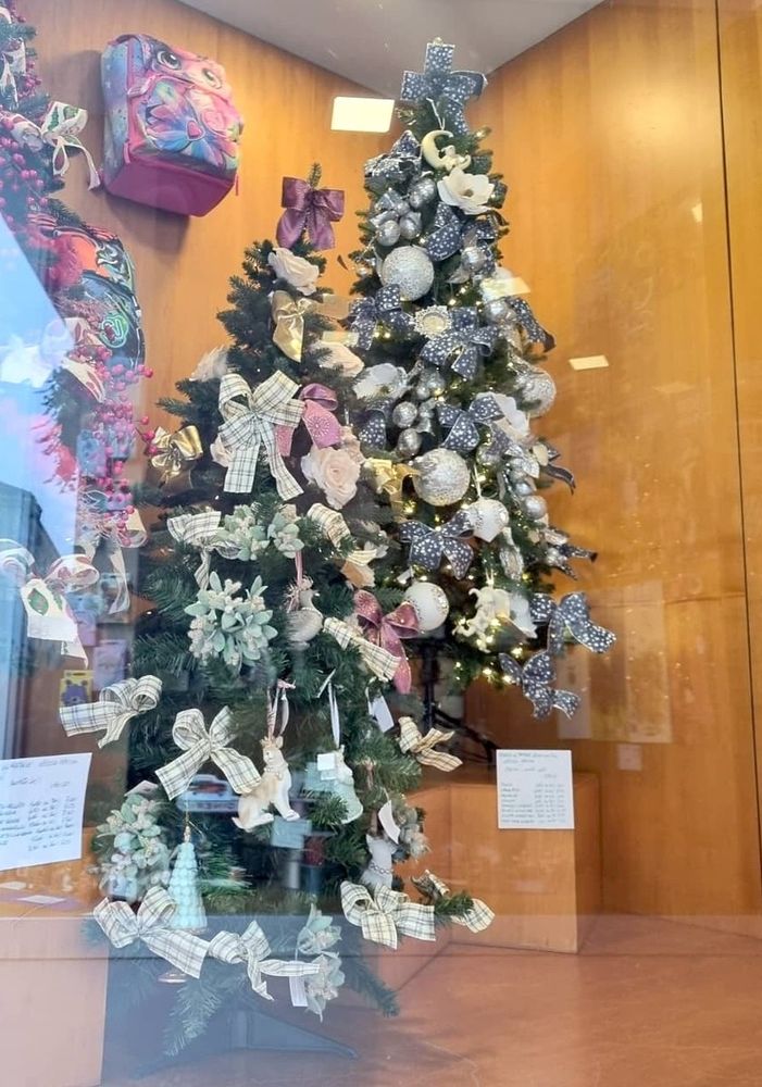 Albero di Natale allestito nel centro di Bra