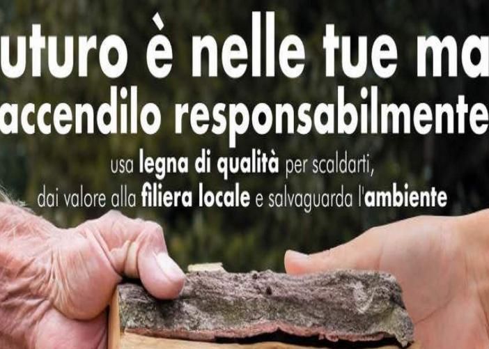 Come riscaldarsi con le biomasse legnose tutelando l’aria e l’ambiente