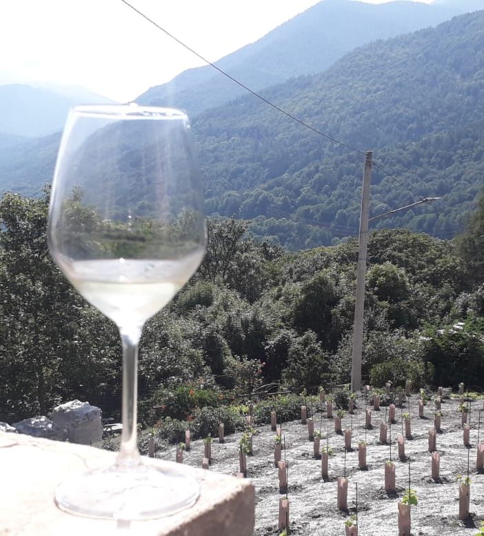 Vino, viti e montagna: questo è Solaris in Val Varaita