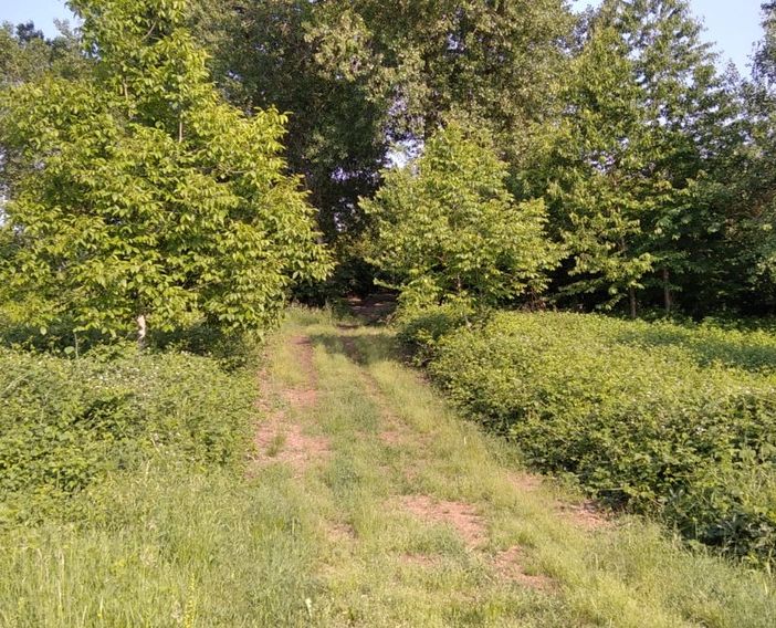 Particolare dell'area in Borgata Berri