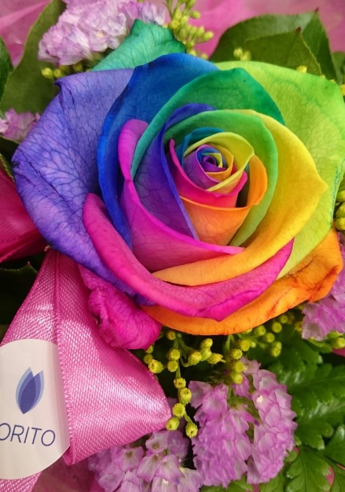 Ditelo con i fiori, soprattutto adesso: Fiorito consegna a domicilio