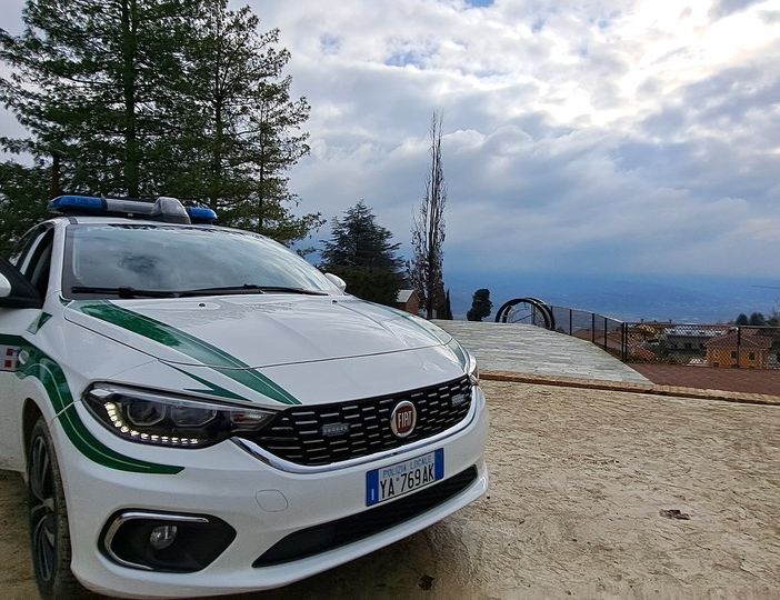 Una decina di soggetti stranieri, in particolare inglesi e irlandesi, identificati dalla Polizia Locale guarenese Una decina di soggetti stranieri, in particolare inglesi e irlandesi, identificati dalla Polizia Locale guarenese