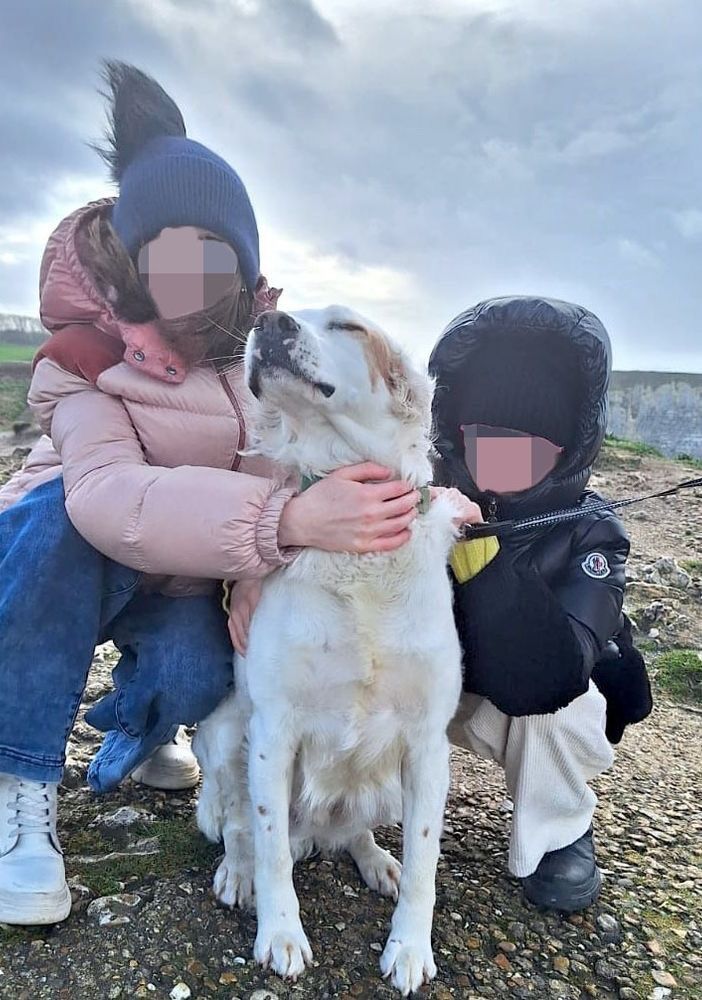 Ted, ucciso con una fucilata nelle campagne di Castellinaldo