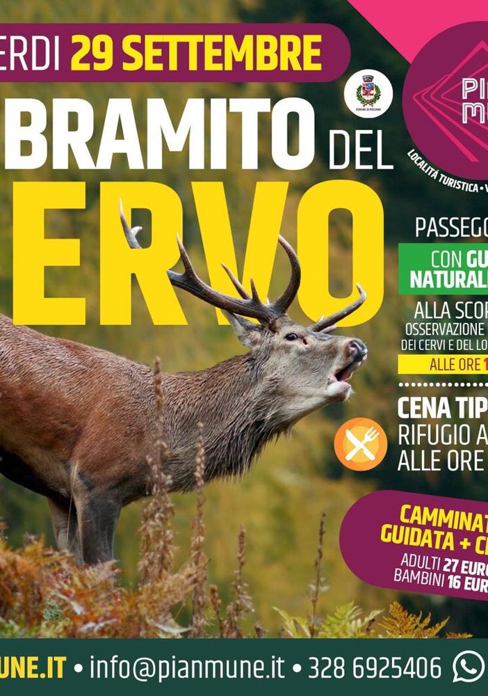 Pian Munè di Paesana: camminata alla scoperta del bramito dei cervi