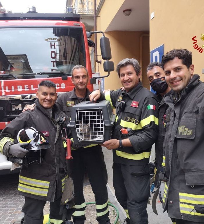 Immagine di repertorio