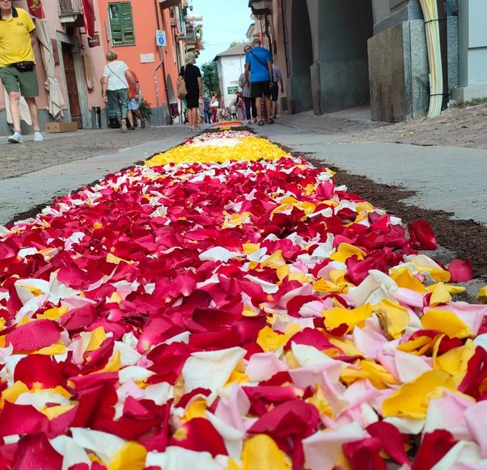 A Cuneo è tornata l'infiorata... aspettando la processione della Madonna del Carmine