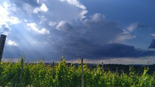 CHE TEMPO FARA' / Ancora una settimana con piogge e temporali