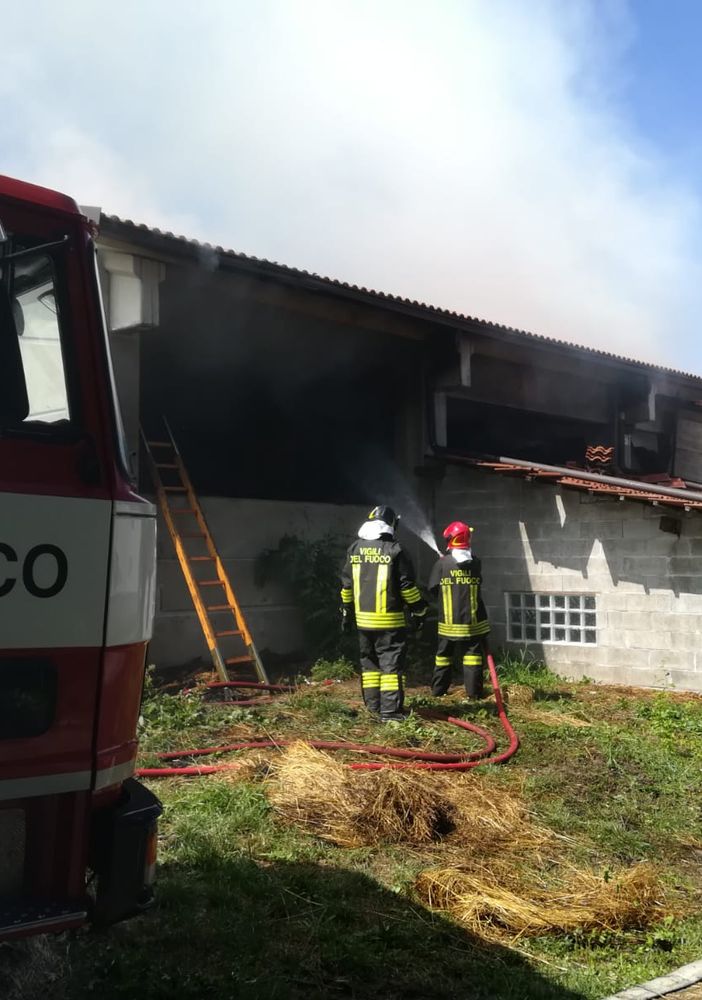 Foto di repertorio