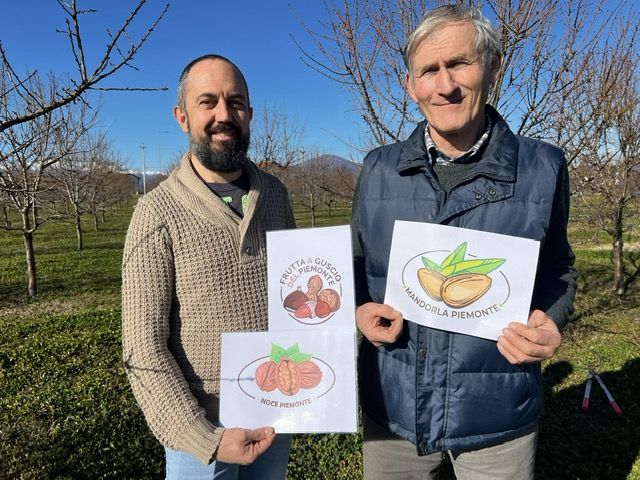 A Cuneo l'assemblea dei soci del Consorzio di Tutela e Valorizzazione della Frutta a Guscio del Piemonte