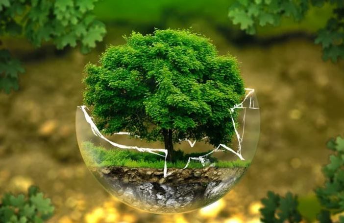 Ad Alba focus sulla comunicazione ambientale con la 21esima edizione del Premio AICA 2024