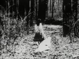 (Co)videodrome #3: Begotten, il cinema della crudeltà