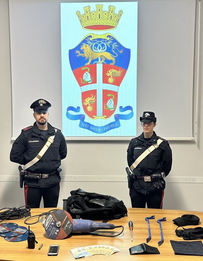 Il materiale sequestrato dai carabinieri