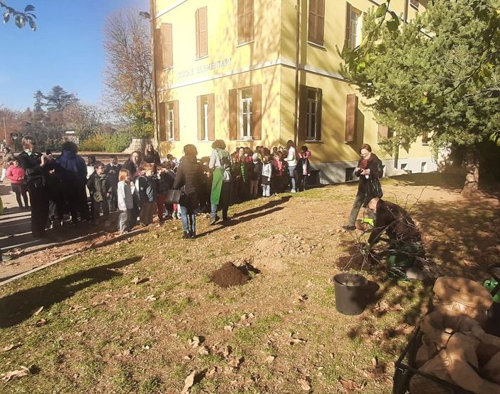 Una mattinata di festa a Spinetta, dove i bambini della Primaria hanno piantato un nuovo albero