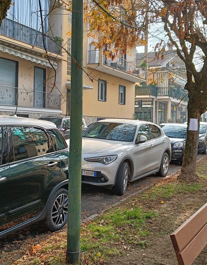 Saluzzo, gli aceri di via Mattatoio,con i foglie di poesie legati ai tronchi