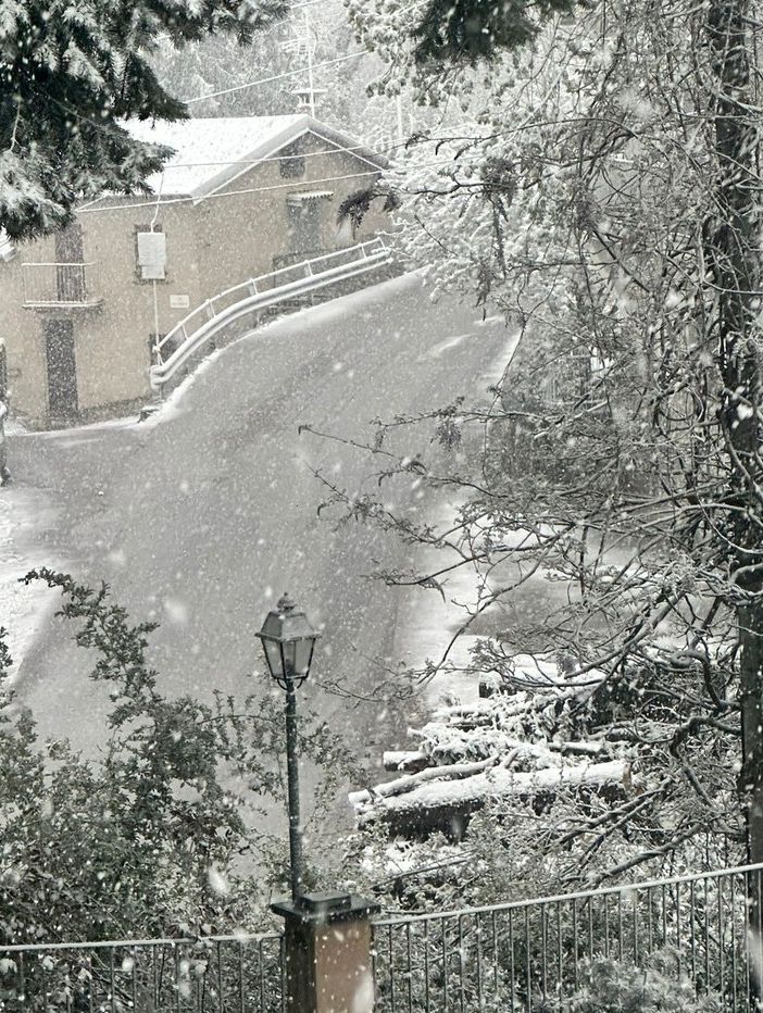 La neve a San Giacomo di Roburent (Foto Paolo Manera)