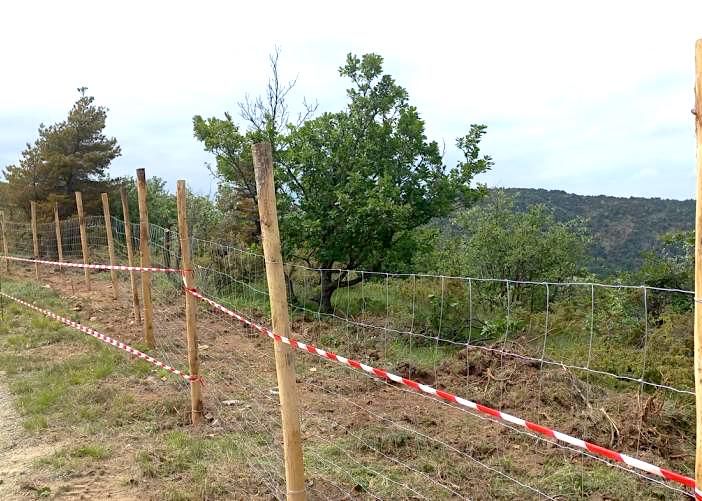 Danni all'agricoltura e indennizzi: &quot;Oltre il danno la beffa!&quot;