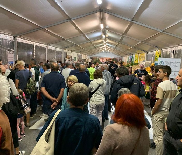 Gli appuntamenti in programma nella Granda per questo fine settimana di settembre