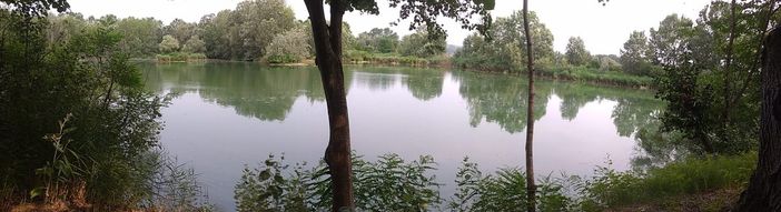 L'oasi naturalistica di Magliano Alfieri L'oasi naturalistica di Magliano Alfieri