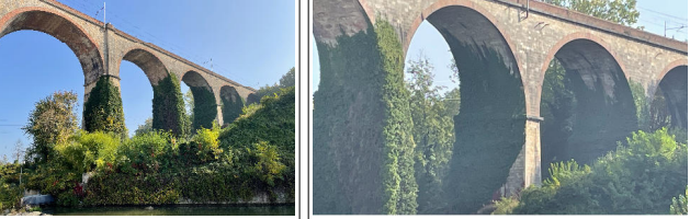 Viadotto ferroviario, entro fine anno Rfi interverrà per ripulire i piloni infestati dal verde