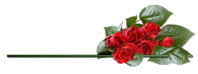 Benedizione delle Rose nella Chiesa di San Giuseppe di Alba