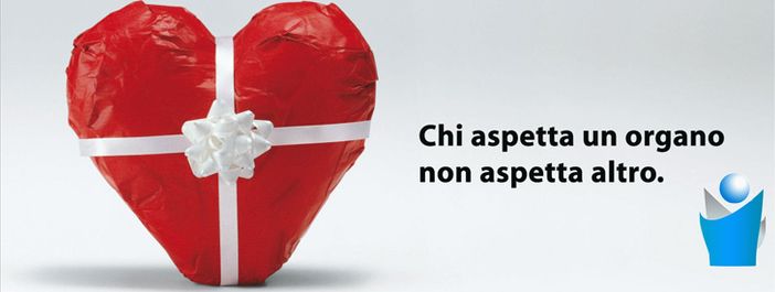 Bra: "Sei una persona di buon cuore? Allora lasciacelo in eredità!"