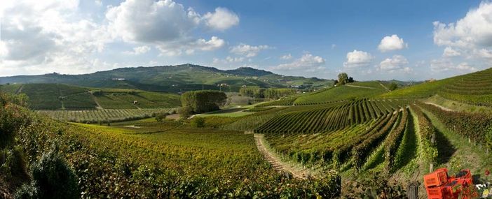 Alba: i sindaci del territtorio appoggiano i lavoratori della Giordano Vini