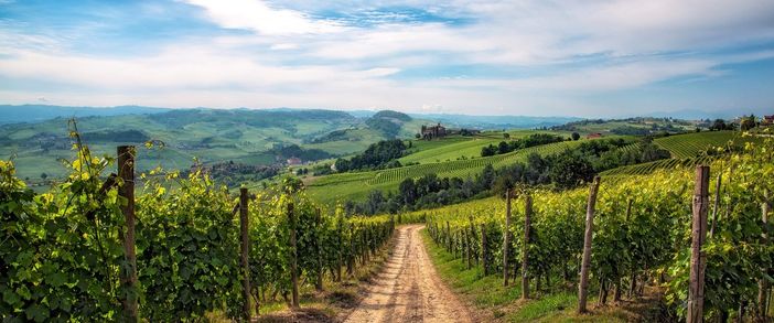 Il Piemonte del vino, unito contro l'emergenza Covid-19