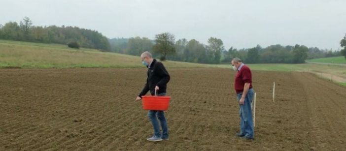 A Niella Tanaro prosegue il progetto dedicato alla valorizzazione dei grani antichi