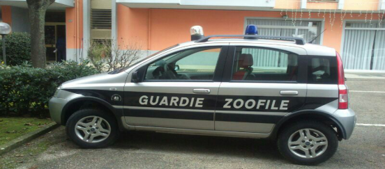 "Blitz e sanzioni, le Guardie Zoofile non sono questo": la L.I.D.A. Cuneo fa chiarezza sul concetto di "protezione animali""