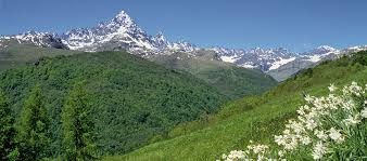 Parco Monviso: un webinar sulla green economy e la ripresa delle attività dopo il Covid-19