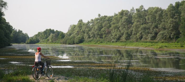 Immagine di repertorio