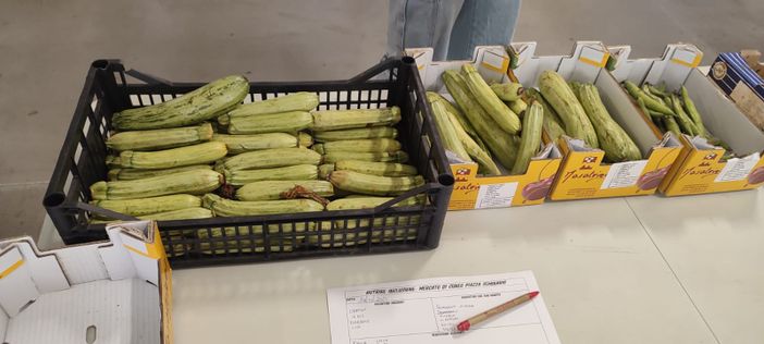 Cuneo, una rete contro spreco alimentare e povertà. Associazioni e Caritas uniscono le forze per sostenibilità, inclusione e solidarietà Cuneo, una rete contro spreco alimentare e povertà. Associazioni e Caritas uniscono le forze per sostenibilità, inclusione e solidarietà