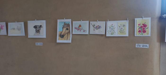 A Boves in mostra le opere degli allievi del corso di acquerelli di Gichi