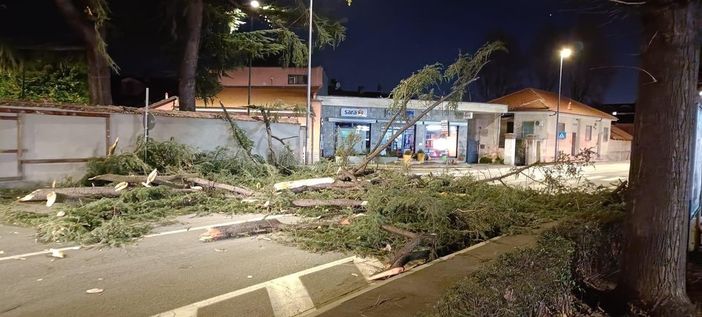 Un'immagine dei danni a Piossasco